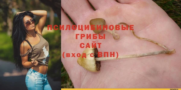 наркотики Новозыбков