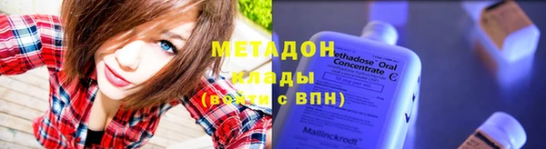 прущие грибы Шадринск