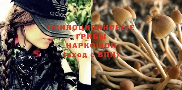 наркотики Новозыбков