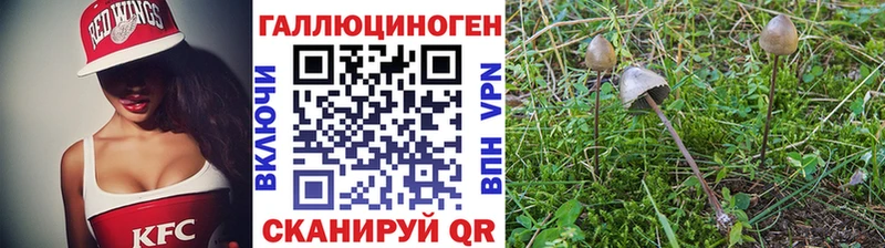 Галлюциногенные грибы ЛСД  наркошоп  Касли 